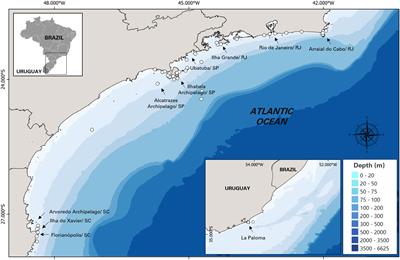 Movements and social behavior of killer whales (Orcinus orca) off the Brazilian coast